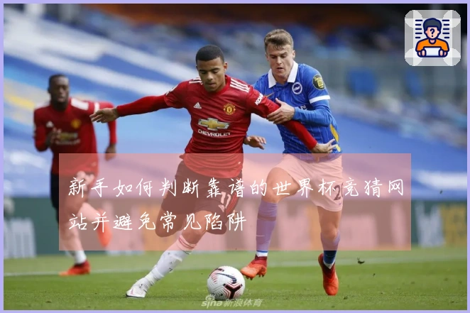 新手如何判断靠谱的世界杯竞猜网站并避免常见陷阱