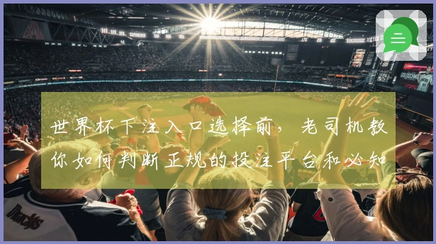 世界杯下注入口选择前，老司机教你如何判断正规的投注平台和必知规则