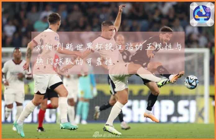 如何判断世界杯投注站的正规性与热门球队的可靠性