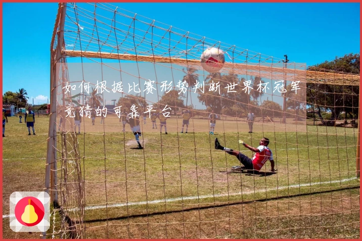 如何根据比赛形势判断世界杯冠军竞猜的可靠平台