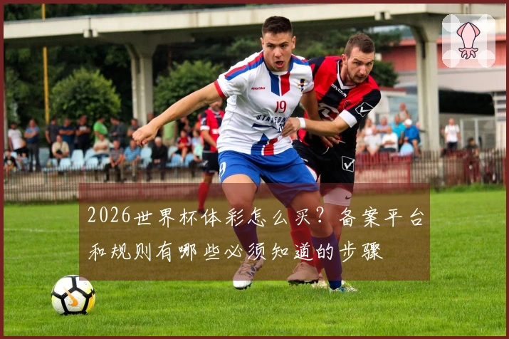 2026世界杯体彩怎么买？备案平台和规则有哪些必须知道的步骤