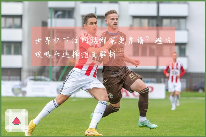 世界杯下注网站哪家更靠谱?避坑攻略和选择指南解析