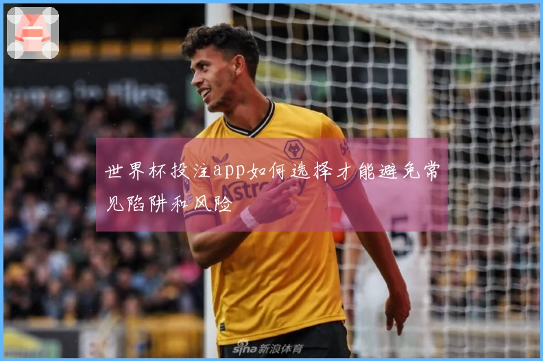 世界杯投注app如何选择才能避免常见陷阱和风险