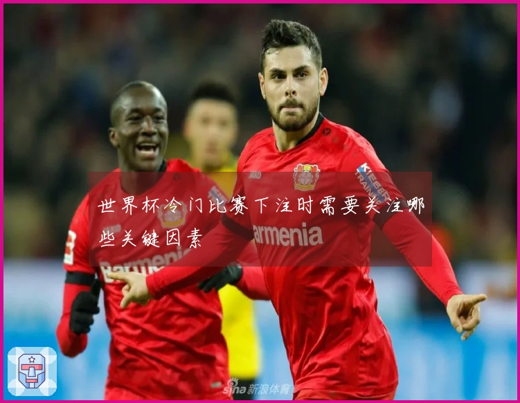 世界杯冷门比赛下注时需要关注哪些关键因素