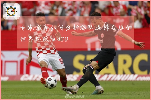 专家推荐如何分析球队选择合适的世界杯投注app