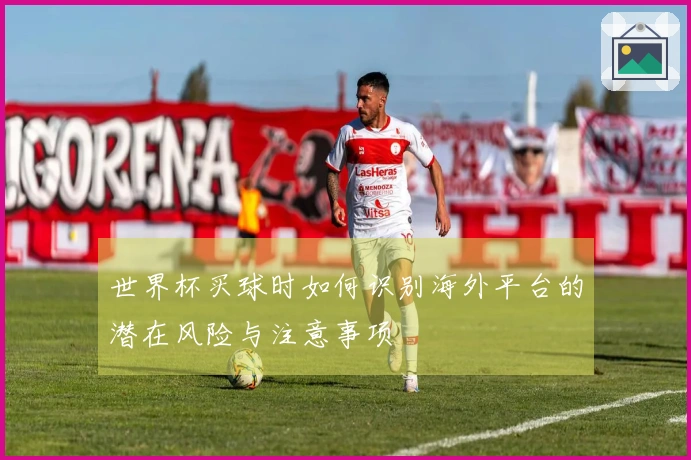 世界杯买球时如何识别海外平台的潜在风险与注意事项