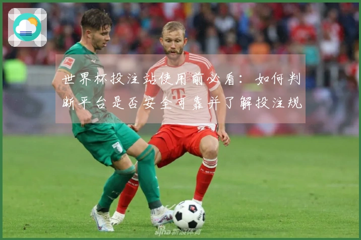世界杯投注站使用前必看：如何判断平台是否安全可靠并了解投注规则