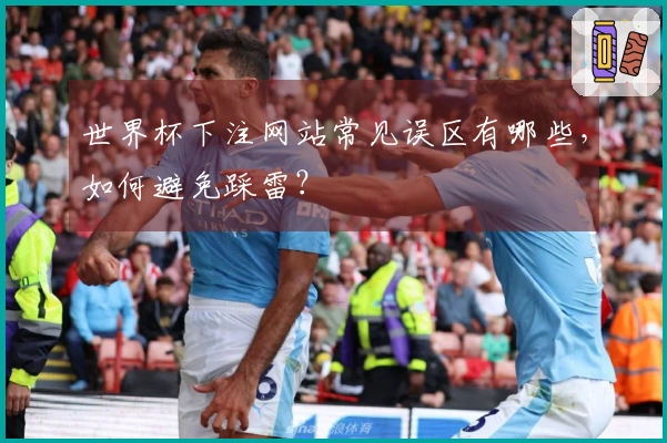 世界杯下注网站常见误区有哪些，如何避免踩雷？