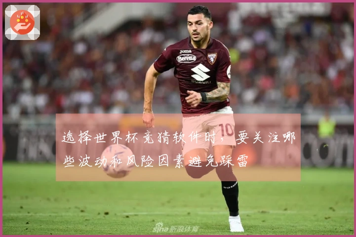 选择世界杯竞猜软件时，要关注哪些波动和风险因素避免踩雷