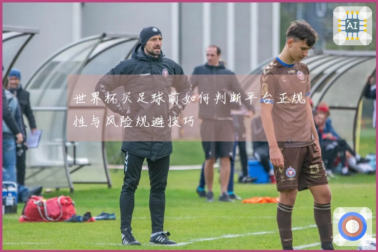 世界杯买足球前如何判断平台正规性与风险规避技巧