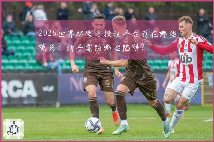 2026世界杯官方投注平台存在哪些隐患？新手需防哪些陷阱？
