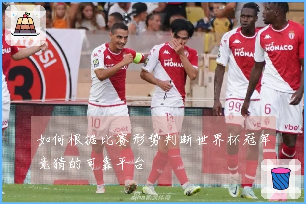 如何根据比赛形势判断世界杯冠军竞猜的可靠平台
