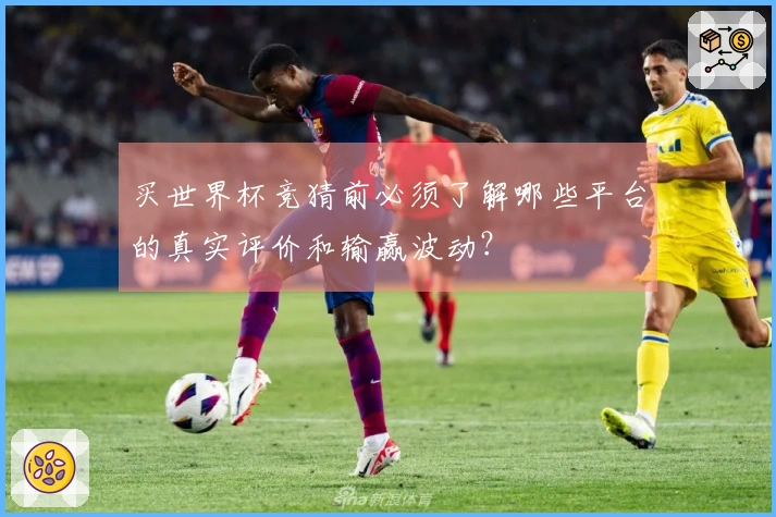 买世界杯竞猜前必须了解哪些平台的真实评价和输赢波动？