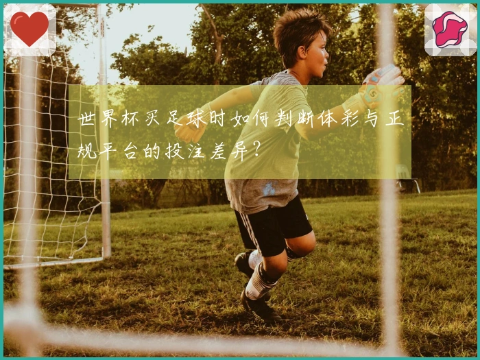 世界杯买足球时如何判断体彩与正规平台的投注差异？