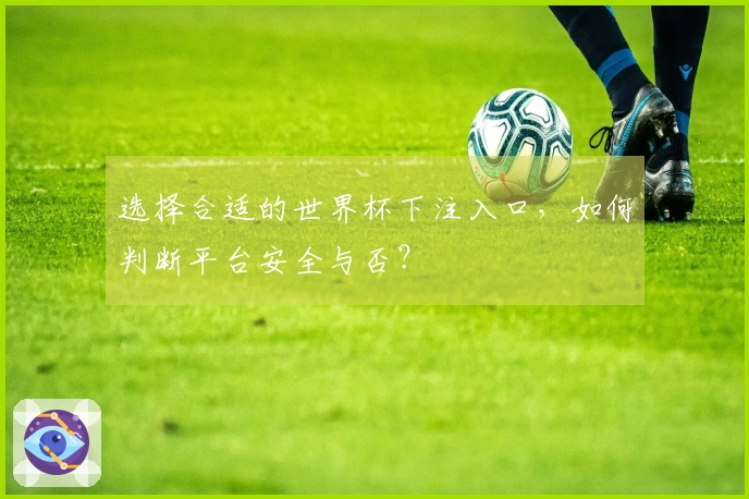 选择合适的世界杯下注入口，如何判断平台安全与否？