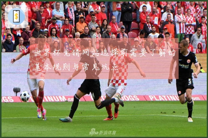 世界杯竞猜网站选择前需要了解的基本规则与常见坑点