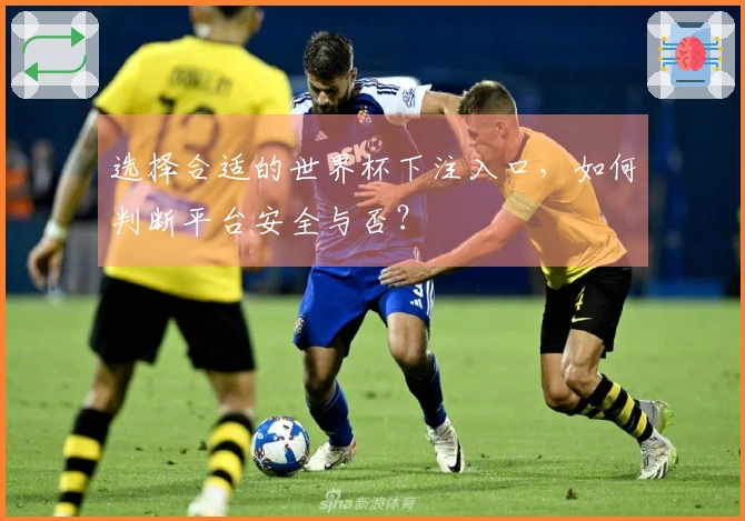 选择合适的世界杯下注入口，如何判断平台安全与否？