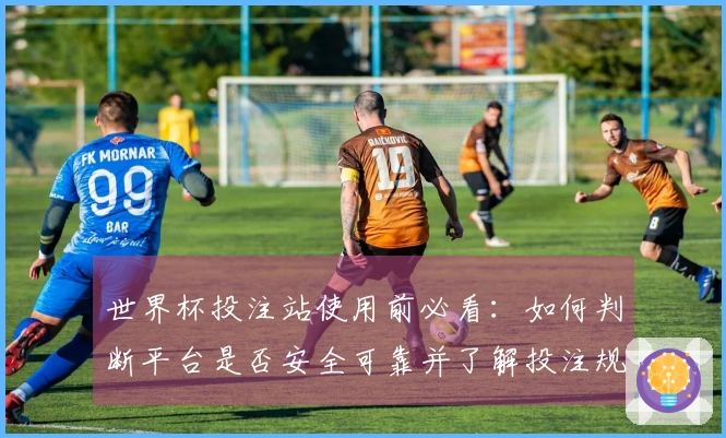 世界杯投注站使用前必看：如何判断平台是否安全可靠并了解投注规则