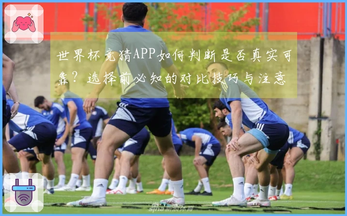 世界杯竞猜APP如何判断是否真实可靠？选择前必知的对比技巧与注意事项