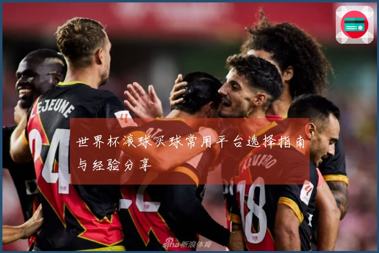 世界杯滚球买球常用平台选择指南与经验分享