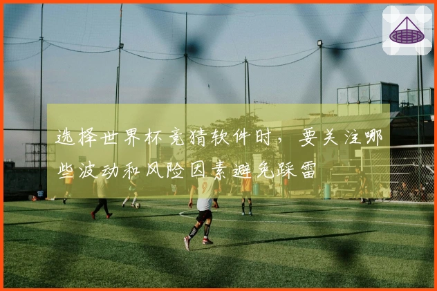 选择世界杯竞猜软件时，要关注哪些波动和风险因素避免踩雷