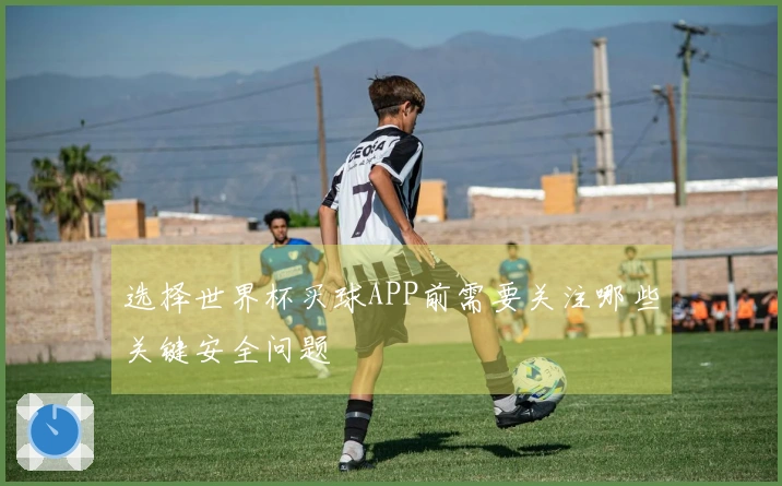 选择世界杯买球APP前需要关注哪些关键安全问题
