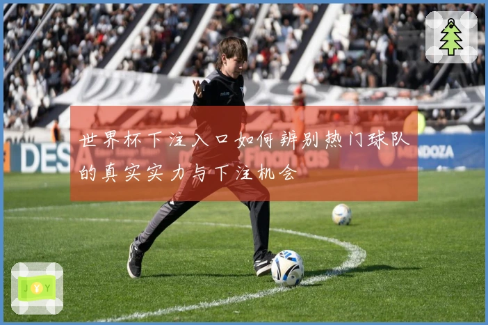 世界杯下注入口如何辨别热门球队的真实实力与下注机会